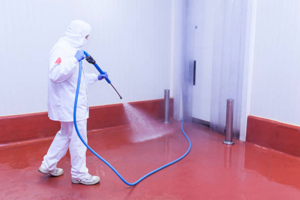 Best Rust Removal  in Lanett, AL