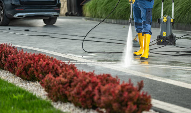 Best Building Exterior Washing  in Lanett, AL